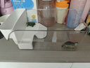 烏龜飼養缸塑料帶曬臺生態(tài)造景家用小型爬寵飼養箱桌面客廳小魚(yú)缸 【生態(tài)龜缸】-高透PET+曬臺/花盆 曬單實(shí)拍圖