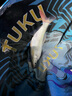 黃金眼重力感應(yīng)夜光漂魚漂咬鉤變色電子漂日夜兩用浮漂 G-005大物漂/配CR425電池 3號(hào)(日夜兩用尾+重力感應(yīng)變色尾) 曬單實(shí)拍圖