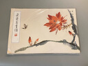 榮寶齋畫譜237-王雪濤繪花卉部分 曬單實拍圖