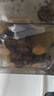 非常寵杜比亞蟑螂繁殖組幼體蜥蜴守宮烏龜龍魚(yú)活餌飼料超櫻桃蟋蟀 2-2.5cm110只 （下面論斤更劃算） 曬單實(shí)拍圖