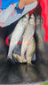 海迪 進(jìn)口魚(yú)線(xiàn)激光飛磕線(xiàn)金剛釣魚(yú)線(xiàn)主線(xiàn)子線(xiàn)黑坑超強(qiáng)拉力大力馬PE線(xiàn) 綠色飛磕主線(xiàn) 0.8號(hào) 曬單實(shí)拍圖