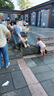 巴拉巴拉漢服女童連衣裙2024秋裝童裝兒童國風(fēng)小童長袖襦裙潮208324111005 曬單實(shí)拍圖