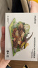 彌鹿（MiDeer）昆蟲3d立體拼圖手工diy立體拼插兒童積木益智玩具木質(zhì)仿真模型 昆蟲記-西方蜜蜂 曬單實拍圖