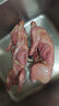 新鮮兔肉 生鮮整只生兔子肉現殺去頭農家散養兔純干燒烤 2.7-3.2斤*2只 曬單實(shí)拍圖