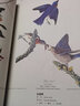 美洲鳥(niǎo)類(lèi)(博物館典藏版)(精) 曬單實(shí)拍圖