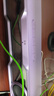 漫步者花再Halo SoundBar桌面音響音箱家用臺(tái)式電腦游戲音響長(zhǎng)條有線音箱藍(lán)牙5.4RGB燈效高保真 幻影紫 曬單實(shí)拍圖