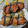 【活蟹】漁家師傅大閘蟹全母3.0-3.3兩8只去繩足重鮮活螃蟹現貨生鮮水產(chǎn)海鮮禮盒 曬單實(shí)拍圖