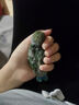 夢(mèng)茜兒（MEXEMINA）限量手養(yǎng)牡丹鸚鵡活鳥(niǎo)雛鳥(niǎo)高純紫羅蘭幼小鳥(niǎo)寵物親人好喂養(yǎng) 綠金頂(銀頂)+【喂養(yǎng)禮包】 曬單實(shí)拍圖