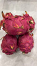 紅心火龍果新鮮現摘超甜紅肉正宗金都一號應季孕婦水果產(chǎn)地直發(fā) 普通中果3斤【約4-7個(gè)】 關(guān)注店鋪收藏加購【優(yōu)先發(fā)貨】 曬單實(shí)拍圖