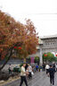 【二手95新】賓得/PENTAX 理光 單反相機(jī) K30 K50系列 K70 系列KP復(fù)古 K70+DA18-135WR 防水頭銀色 曬單實(shí)拍圖