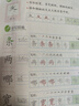 2025秋人教版統編教材寫(xiě)字同步練習二2年級上冊語(yǔ)文字帖 語(yǔ)文寫(xiě)字字貼 廣東高等教育出版 統編教材寫(xiě)字同步練習 二年級上冊 曬單實(shí)拍圖