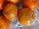 华味仙广西武鸣特产沃柑新鲜水果桔橘子当季时令生鲜 5斤大果 实拍图