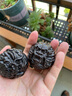 紫光檀手球保健球祥龍健身球老年人把玩木雕貔貅手轉球文玩手把件 曬單實(shí)拍圖