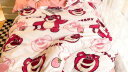 迪士尼（Disney） 磨毛六件套（三件套+枕芯+被芯+床褥）全套组合宿舍被子被褥被套150*200cm床上用品多件套 可爱草莓熊 实拍图