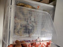 寶優(yōu)妮冰箱保鮮盒收納盒廚房冷藏蔬菜魚(yú)盒帶蓋瀝水食物儲存盒廚房用品 DQ9021-7<2只裝>保鮮魚(yú)盒大 曬單實(shí)拍圖