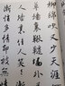 宋詞一百首：王羲之行書(shū)集字 經(jīng)典碑帖古詩(shī)詞作品集臨摹教程 行書(shū)毛筆書(shū)法字帖王羲之蘭亭序圣教序正版書(shū)籍浙江人民美術(shù)出版社圖書(shū)籍 曬單實(shí)拍圖