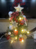 蒂诗卡 圣诞树圣诞装饰品圣诞节礼物小型套餐高档商场布置豪华加密型 60CM豪华小圣诞树 实拍图