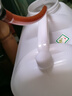 定制塑料水桶20升25升50斤30升60斤酒桶柴油桶水壺油壺儲(chǔ)水桶 30L60斤加厚(1.2kg) 曬單實(shí)拍圖