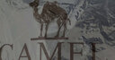 駱駝（CAMEL）三防羽絨沖鋒衣男女三合一外套秋季工裝幻影黑防水登山服 1099Y，冰晶灰色/幻影黑，男 XXXL 曬單實(shí)拍圖
