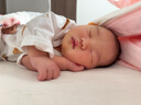 貝瑞加（Babyprints）嬰兒半背衣2件裝長袖純棉寶寶上衣護肚和尚服家居內(nèi)衣 小熊貓咪52 曬單實拍圖