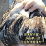 韓方五谷二硫化硒洗發(fā)水男女士去屑止癢控油持久蓬松洗頭膏露液金榜第1名 曬單實(shí)拍圖