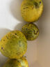 潤(rùn)味來(lái)八里香甜瓜 東北花蕾香瓜新鮮花姑娘甜瓜脆甜多汁整箱頭茬時(shí)令 2斤精選裝 曬單實(shí)拍圖