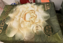 babycare金山茶花紙尿褲M50片(6-11kg)嬰兒尿不濕超薄透氣新生柔花苞褲 曬單實拍圖