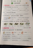 【京倉直配】蝴蝶有一面小鏡子小學(xué)二年級上冊必讀課外書(shū) 驕傲的大公雞 蝴蝶有一面小鏡子注音版金近狐貍打獵人的故事小貓釣魚(yú)故事書(shū) 【金近童話(huà)故事全6冊】蝴蝶有一面小鏡子 曬單實(shí)拍圖