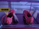 亞瑟士進軍布達佩斯 Asics SP田徑精英男女專業(yè)碳板厚底短跑釘鞋 Asics SP/1093A206-702 40 曬單實拍圖