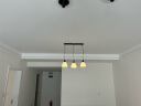 V-POWER 简约LED个性餐吊灯餐厅三头吊灯 北欧创意圆形餐桌饭厅灯3300 黑边款长盘三头 实拍图