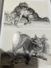經(jīng)典全集【精裝】百態(tài)動(dòng)物插畫(huà)集 50位西方大師插畫(huà)作品集 鳥(niǎo)獸魚(yú)馬犬貓類(lèi)動(dòng)物插版畫(huà)博物畫(huà)圖譜原作正版臨摹教材 曬單實(shí)拍圖