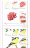 經(jīng)典全集 《彩鉛花鳥(niǎo)》繪畫(huà)入門(mén)教程書(shū)超寫(xiě)實(shí)手繪花卉植物草臨摹畫(huà)冊花之繪成人0零基礎自學(xué)教材 楊建飛主 曬單實(shí)拍圖