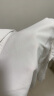 奕卬2022白衬衫女职业夏短袖正装工装半袖工作服衬衣女加绒修身面试 白色短 XL 晒单实拍图
