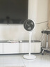 格力（GREE）【香薰?jié)M屋】空氣循環(huán)扇臺地兩用電風扇落地扇循環(huán)左右搖頭輕噪對流香薰驅(qū)蚊循環(huán)扇 FXD-1903g3 曬單實拍圖