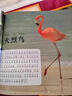童眼觀世界【4冊(cè)】鳥/動(dòng)物/恐龍/昆蟲 4-8歲兒童看圖識(shí)物幼兒園啟蒙益智早教繪本百科全套彩圖注音版 曬單實(shí)拍圖
