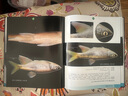 廣西淡水魚類分類圖鑒 曬單實拍圖