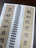 清  梁詩正 行書《梁詩正合集》精選入門毛筆書法臨摹初學(xué)者基礎(chǔ)成人字卡近距離對臨字帖 紙中作樂 《梁詩正合集》 曬單實拍圖