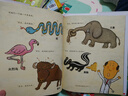 當(dāng)當(dāng)正版童書 你好，安東醫(yī)生4冊  3-6歲兒童幽默故事繪本圖畫故事書 寶寶早教書幼兒園睡前讀物 你好，安東醫(yī)生 曬單實拍圖