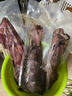 鯨甘郎魷魚(yú)鮮活冷凍新鮮超大魷魚(yú)尤魚(yú)生鮮整只船凍燒烤鐵板商用海鮮水產(chǎn) 整條魷魚(yú)5斤裝（凈重無(wú)冰） 曬單實(shí)拍圖