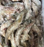 賣(mài)魚(yú)七郎青島鹽凍大蝦凈重2.7斤 每斤約18-24只 白蝦大蝦基圍蝦 生鮮 蝦類(lèi) 曬單實(shí)拍圖