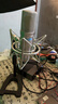 Alctron愛克創(chuàng)CM6MKII  CM6 lite大振膜電容麥克風錄音話筒直播K歌錄音麥 【CM6MKII+雅馬哈UR22C】 曬單實拍圖