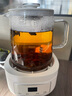利仁養(yǎng)生壺多功能家用小型辦公室煮茶壺 1.2L SH-D1232 曬單實拍圖