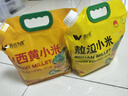 吾谷為伴敖漢小米5斤 新米赤峰小米粥黃小米 金苗k1蒸飯更軟糯 曬單實拍圖
