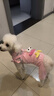 MIKI PAD狗狗衣服小型犬貓衣服秋冬季保暖可牽引外出背帶褲比熊泰迪雪納瑞 大眼仔背帶褲 S背長(cháng)25cm（參考體重3-6斤） 曬單實(shí)拍圖