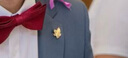 諾斯.馬丁外套西裝西服品質(zhì)胸針男士領(lǐng)針女精致生日禮物配飾楓葉 金色 曬單實(shí)拍圖