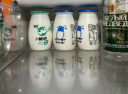 来思尔云南大理小酸奶180g*12瓶整箱牛奶乳品网红多口味可选营养早餐奶 青柠海盐味12瓶 实拍图