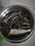 老G野戰藍鯽大野戰九一八腥版餌料速攻2號鯉魚(yú)草魚(yú)野釣鯽魚(yú)餌料 藍鯽300g+新918腥300g 曬單實(shí)拍圖