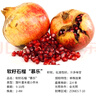 虹越（HONGYUE）石榴果苗 家庭休閑種植水果苗軟籽石榴盆栽苗南北方庭院果樹(shù)苗 軟籽石榴“慕樂(lè )” 1加侖 曬單實(shí)拍圖