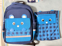 得力（deli）得力學(xué)院系列小學(xué)生簡(jiǎn)約時(shí)尚書(shū)包 藍色小熊 3-6年級 曬單實(shí)拍圖