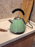 摩飛電器（Morphyrichards） 家用電熱水壺304不銹鋼開(kāi)水壺大容量燒水壺MR7456A 1.5L 綠色 半封閉把手 曬單實(shí)拍圖